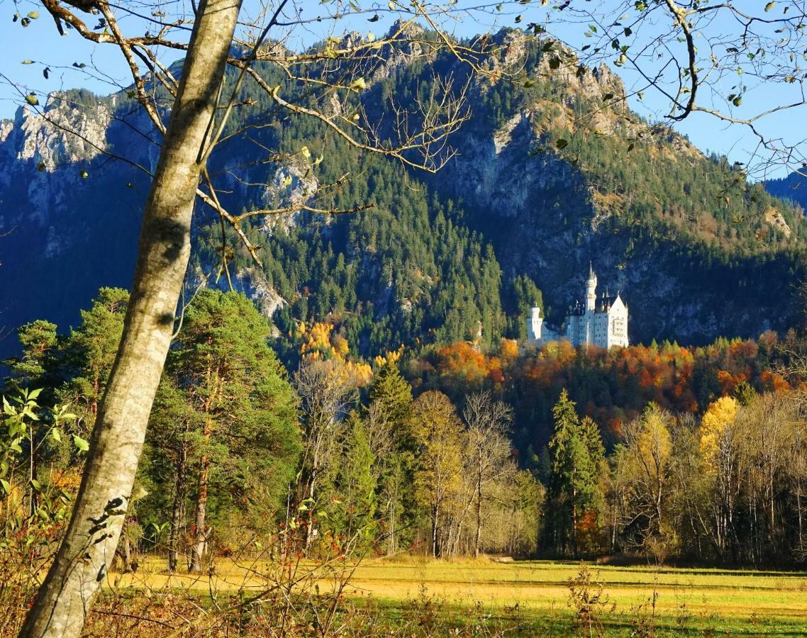 Branderschrofen *